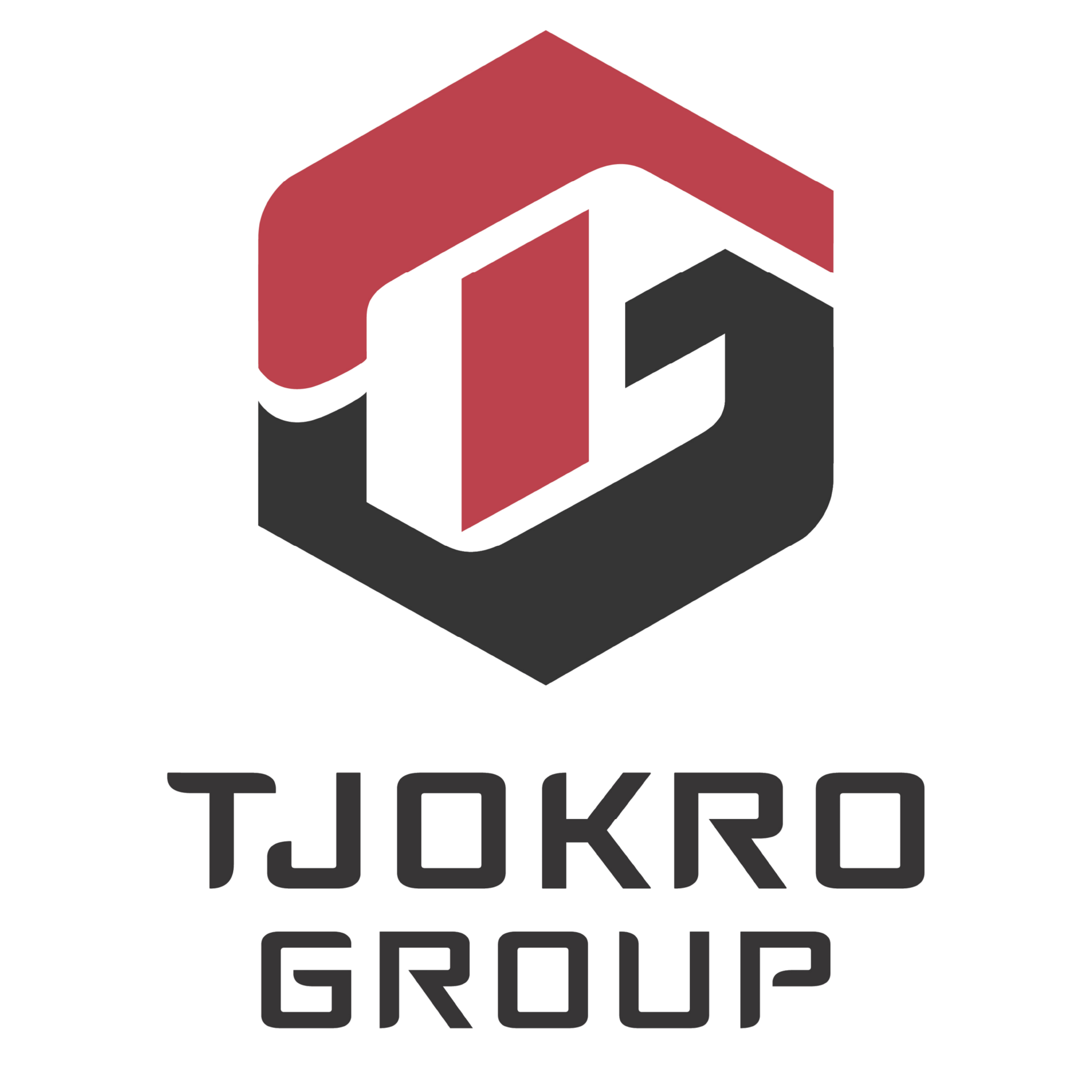 41_Logo_Tjokro Group